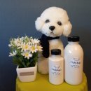 화순스테이호텔 이미지