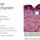 신한메디텍 이미지
