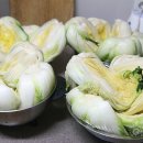 상대촌마을 영농조합법인 이미지