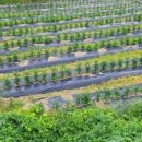 철마공인중개사사무소 이미지