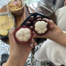 부부약국 이미지