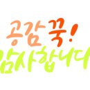 백채금호역점 이미지