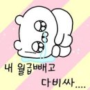 강남미남 [비중격만곡증 수술 후기]