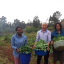 자립농장 이미지