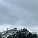 (주)앤틱카페 이미지