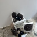 포항청년작가회 정기전 이미지