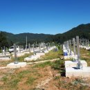 태성 태양광발전소 이미지