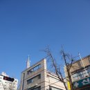 연세신도의원 이미지