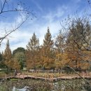 경남남도 수목원(동물원) | [경남/진주] 경남남도수목원, 단풍개화속도 특파원후기