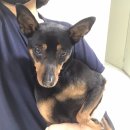 선부3동주민센터 이미지