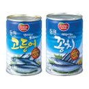 꽁치코치