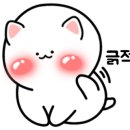 라라라스토어