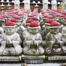 송광사 왕벚나무길 이미지