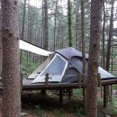 그린오토 이미지