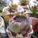 나비공방 이미지