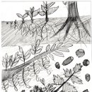 수수께끼 이미지