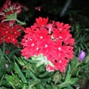 귀빈모텔 이미지