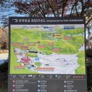 광명동굴 (코끼리차 주차장) 이미지