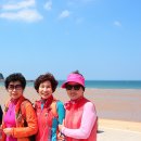 대천 이미지