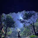 제이림케이크 | [JEJU] 비가 와서 더 아름다운 제주도 포토존 <녹차동굴>, 우산 스냅촬영에서 조심해야 하는 포즈가 있다?