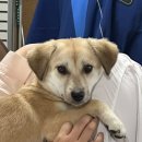 민기수산 | [국내] 강원도 속초,강릉 3박4일 (고궁회관 / 카페 긷 / 최일순짬뽕순두부 / 감자적1번지 / 갤러리밥스...