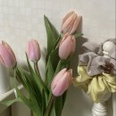 뽀짝뽀짝 이미지