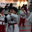 서구 열정태권도장 이미지