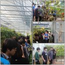 인천사리울중학교 이미지