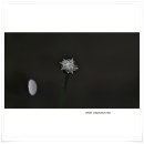 곡정초등학교 이미지