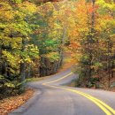 강서가곡부르기회 이미지