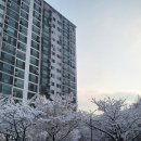 눈편안세상 이미지