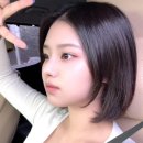 서울미장원 - 완도군 금당로 98 | 서울미장원