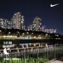 공주닭발(망원점) | 9월도 100장이 넘어가면 억덕캐;;