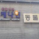 케나인동물병원 이미지