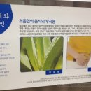 코스비한의원 이미지