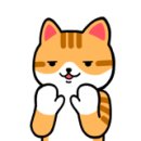 쿤-아일랜드 이미지