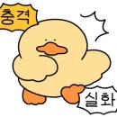 이리스라이트
