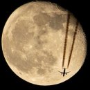 안상수동물병원 이미지