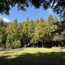 심천힐링관광농원 | 양평수영장 자연 속 힐링, 양평 부림관광농원 캠핑 후기