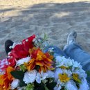 서채 | [W.Memo #05]🍀 감성 숙소 끝판왕 🍀스테이폴리오 서지별담 서채, 찐 내돈내산 후기 !!