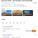 일본 도쿄 디즈니랜드 입장권 가격 티켓 자유이용권 놀이기구 후기