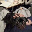 반지 어울림운동장 | 2025 끝..