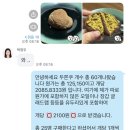 조이마트 안성내리점 | 2025.12-2 두쫀쿠 발로차지마라