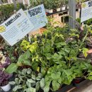 헬로우마켓 | 고양 대형꽃집 추천 [헬로우가든마켓]