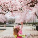 경인상사 이미지