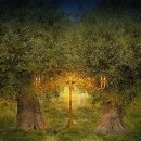 영광포도원 | 스가랴 4장 주석, 2026년 3월 6일, Commentary on Zechariah 4