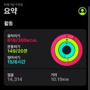 찬양카센타 | 11월 되자마자 게을러진 짧은 일기
