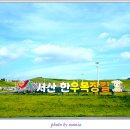 충남목장 이미지