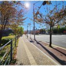 우리집부동산공인중개사사무소 이미지