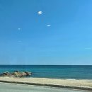 고성부부횟집 이미지